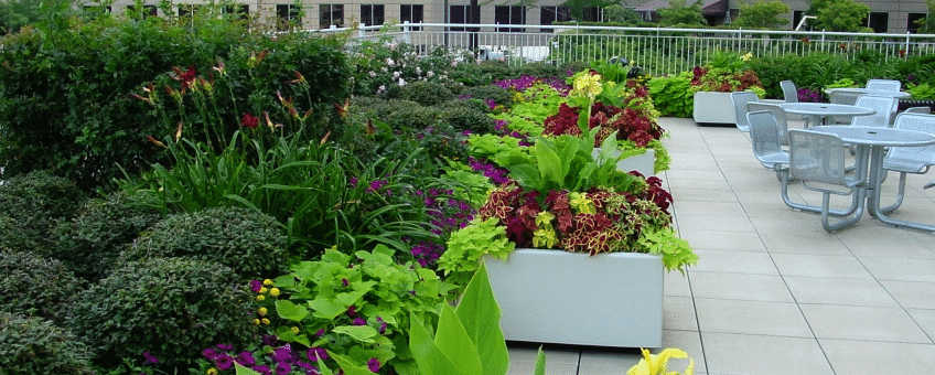 As the demand for locally grown produce and high density houses increases, urban communities are becoming more and more creative in finding ways to meet that demand. Urban agriculture can be as simple as windowsill herb gardens or as vast and vibrant as large community gardens that encompass entire city blocks.