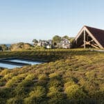 green-roof