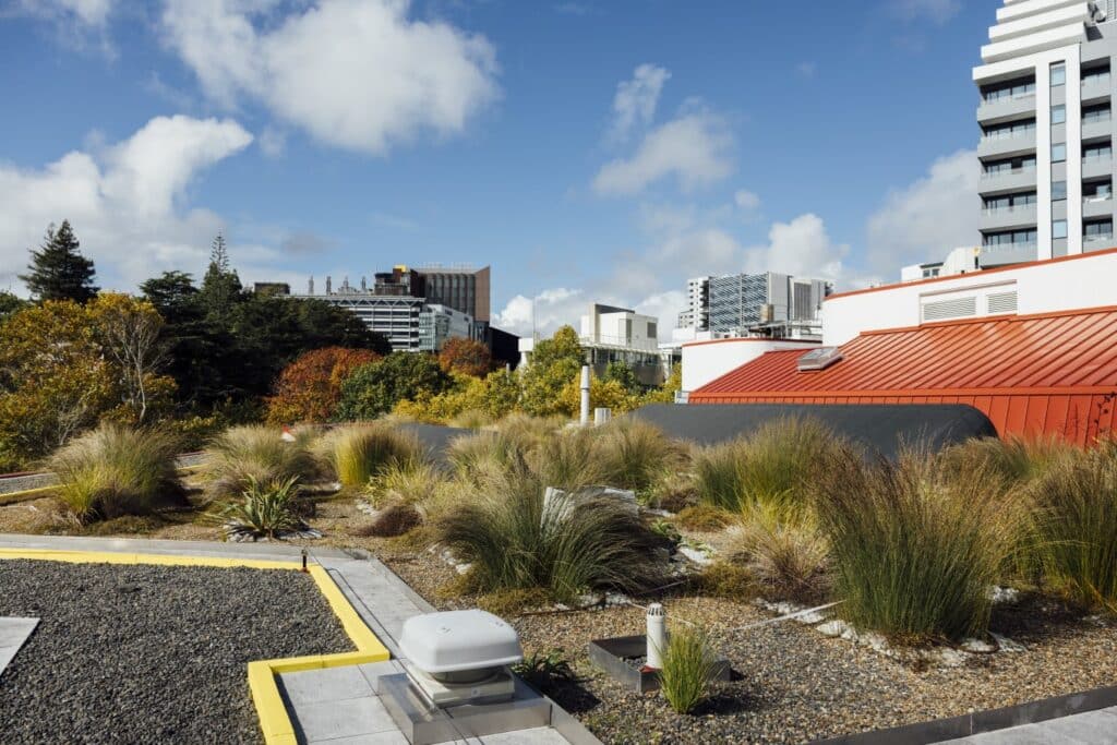 Allco is proud to have contributed to the success of the Auckland Central Library’s living roof—an ambitious project now delivering tangible environmental benefits after 18 months of in-depth monitoring by Auckland Council and Living Roofs Aotearoa.